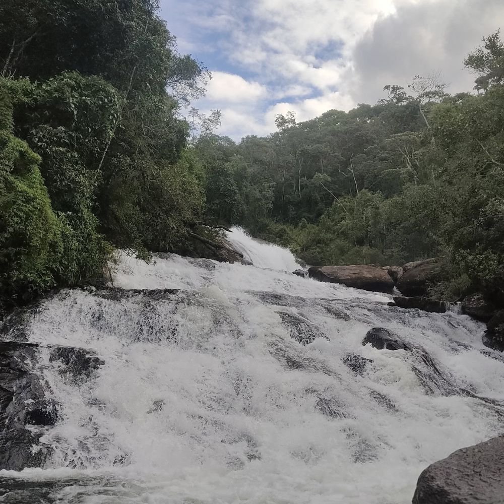 Cachoeira rodeada de mata pesada